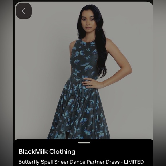 Blackmilk Butterfly Spell Sheer Dance Partner Dress High Low Dress L NWT - Picture 5 of 5